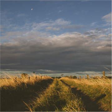 galleryPhot